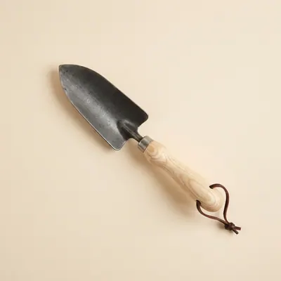 Ash-handled trowel with a forged steel blade